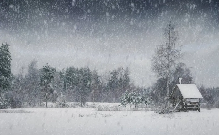 ЭКСТРЕННОЕ ПРЕДУПРЕЖДЕНИЕ!