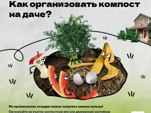 Урожай без химии!