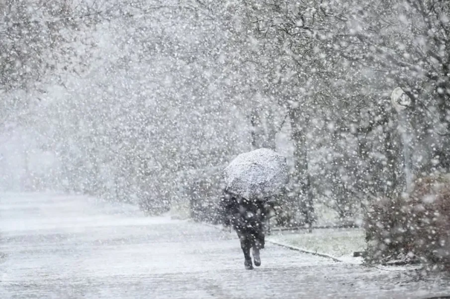 ЭКСТРЕННОЕ ПРЕДУПРЕЖДЕНИЕ!