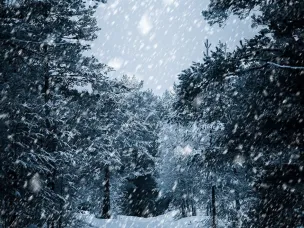 Метель и снег.