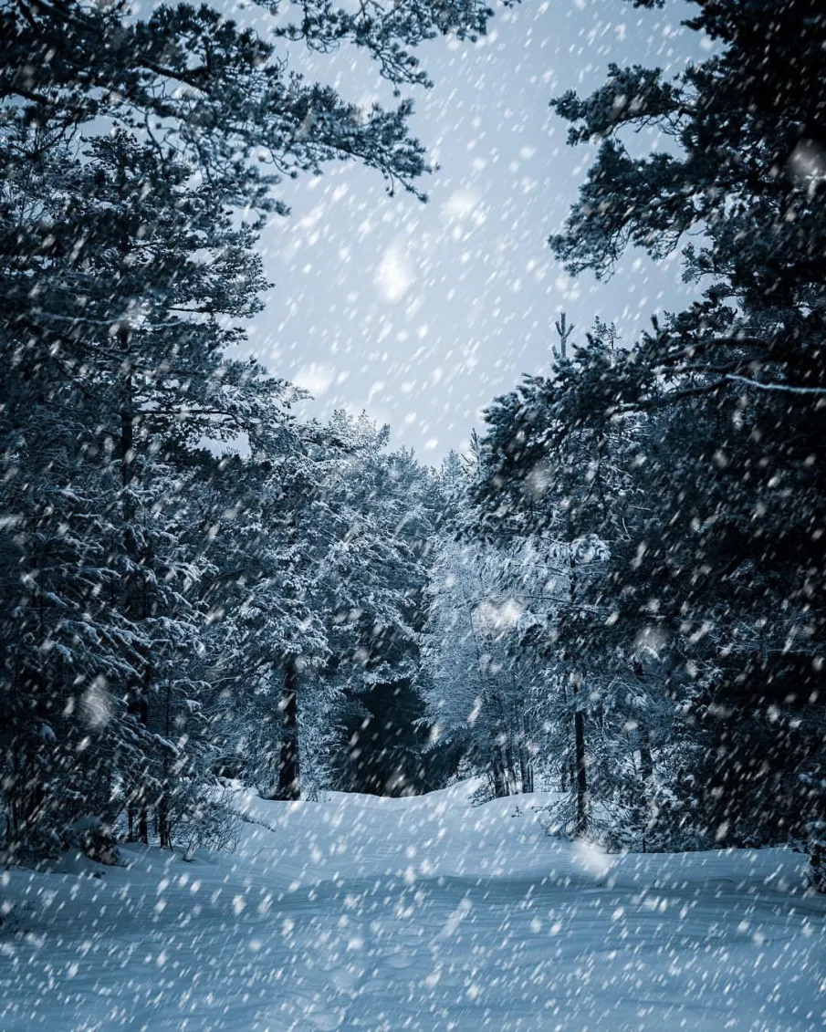 Метель и снег.