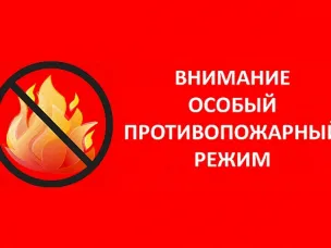 Постановление об установлении на территории Нижегородской области особого противопожарного режима.