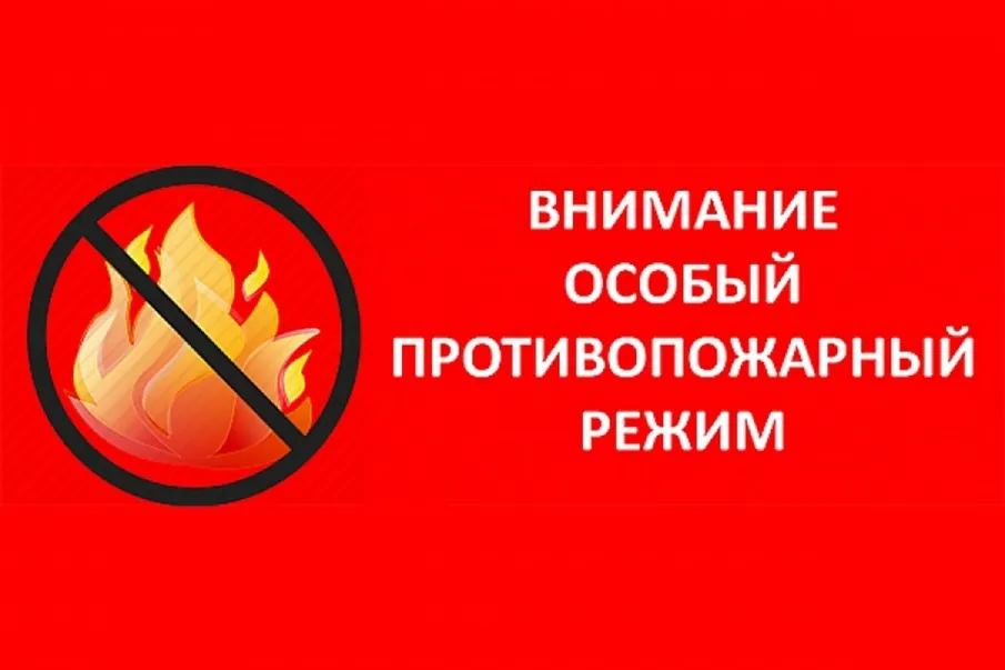Постановление об установлении на территории Нижегородской области особого противопожарного режима.