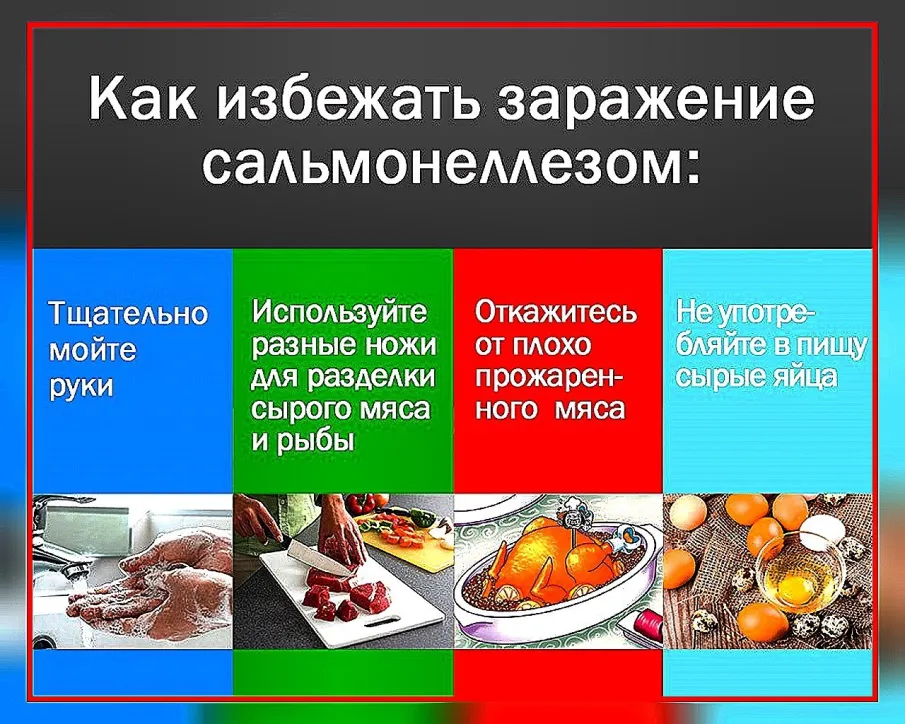 Как защититься от сальмонеллеза
