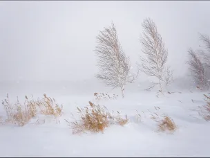 Умеренный снег и метель в Лукояновском районе.
