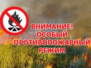 Введен особый противопожарный режим