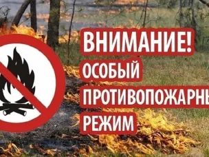 С 1 апреля 2025 года введен особый противопожарный режим