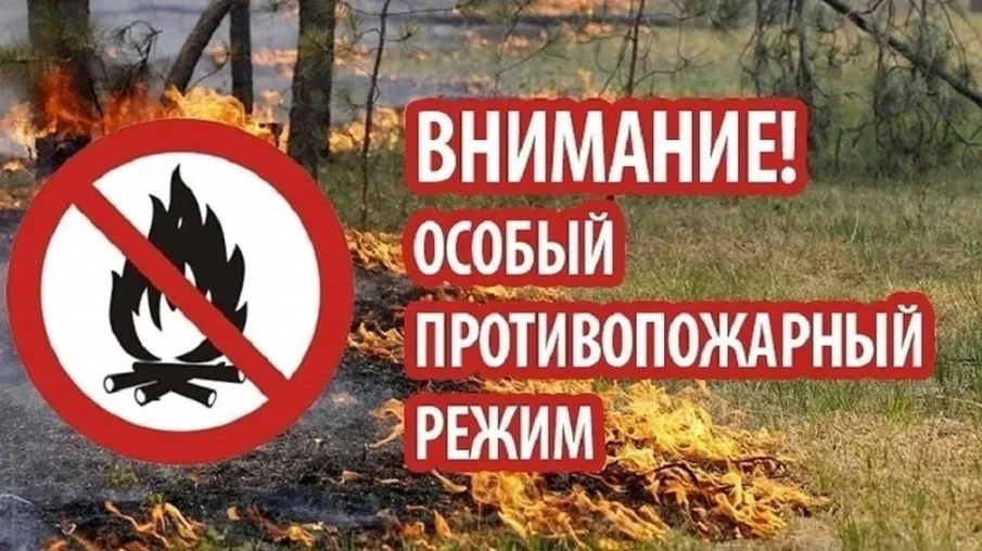 С 1 апреля 2025 года введен особый противопожарный режим