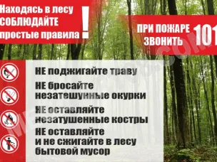 Пожарная безопасность в лесу.
