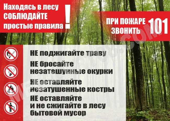Пожарная безопасность в лесу.