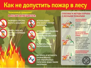 Как не допустить пожар в лесу