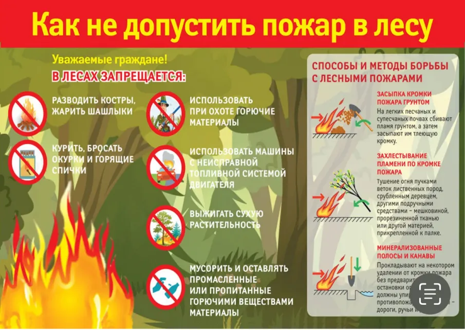 Как не допустить пожар в лесу