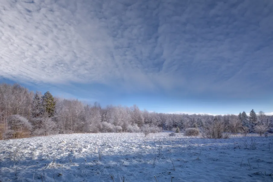 Накат и гололедица в Лукояновском районе.