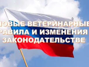 С 1 сентября 2023г. вступили в силу изменения в закон РФ № 4979-1 от 14 мая 1993г. (ред. от 28 апреля 2023г.) «О ветеринарии», которые определяют порядок маркировки и учёта сельскохозяйственных животных.