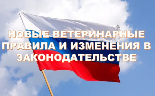С 1 сентября 2023г. вступили в силу изменения в закон РФ № 4979-1 от 14 мая 1993г. (ред. от 28 апреля 2023г.) «О ветеринарии», которые определяют порядок маркировки и учёта сельскохозяйственных животных.