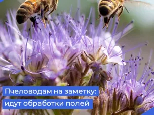 В Лукояновском муниципальном округе сельскохозяйственные предприятия будут вести обработку полей гербецидами и другими препаратами.