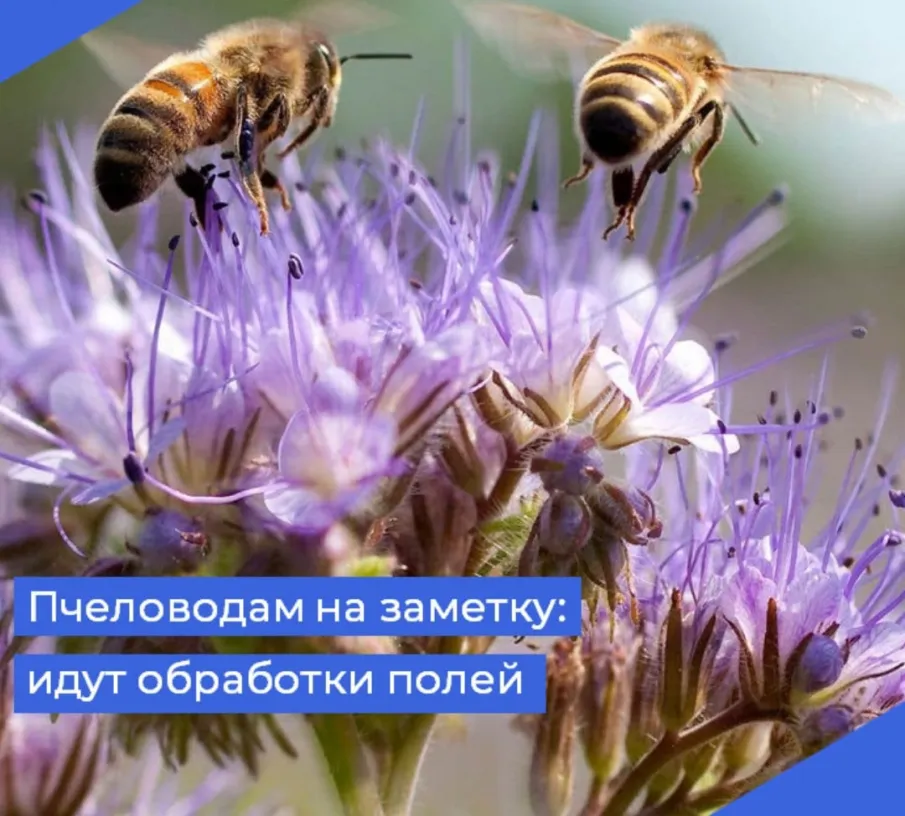 В Лукояновском муниципальном округе сельскохозяйственные предприятия будут вести обработку полей гербецидами и другими препаратами.