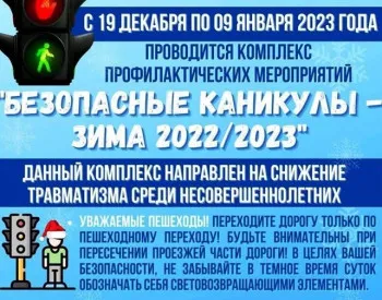 Зимние каникулы