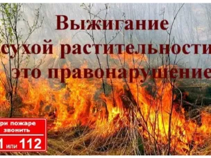 Пал сухой травы