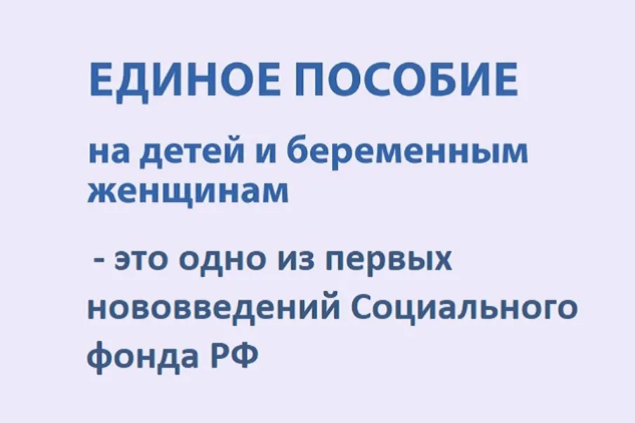 Социальный фонд России начнет предоставлять единое пособие на детей и беременным женщинам с 2023 года