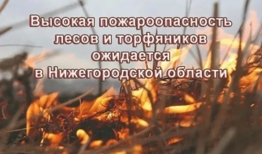 Пожароопасность лесов и торфяников.