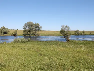 Пруд Казённый, 2013 год.