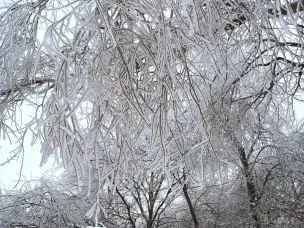 Экстренное предупреждение!