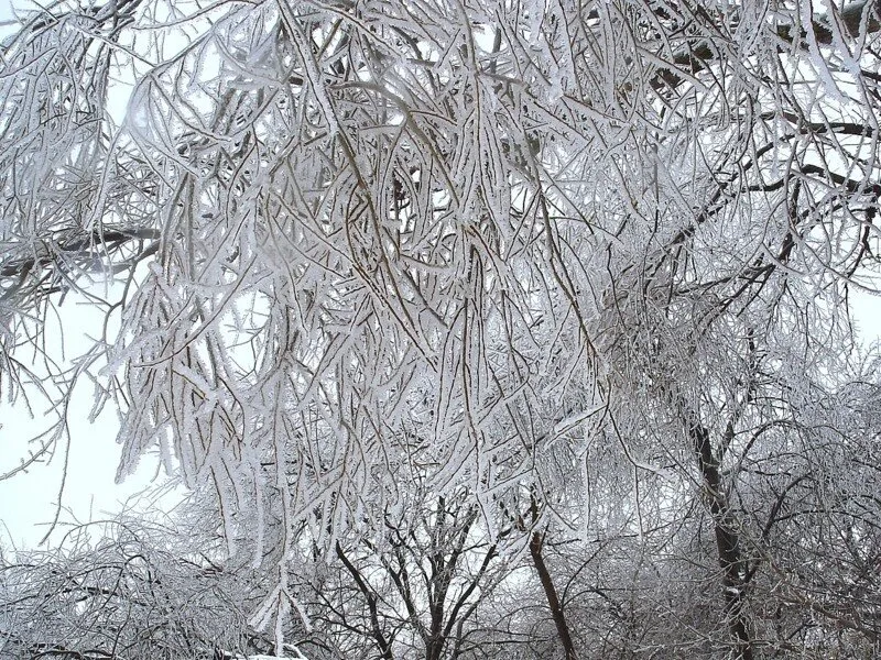 Экстренное предупреждение!