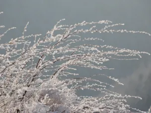 Экстренное предупреждение! Гололёдно-изморозевое отложение!