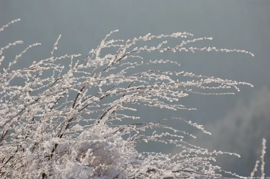 Экстренное предупреждение! Гололёдно-изморозевое отложение!