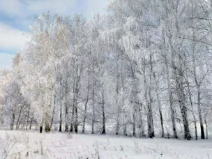 Белоснежная красавица зима в Лукояновском районе.
