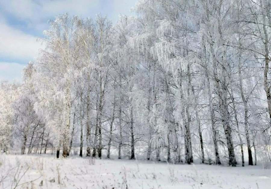 Белоснежная красавица зима в Лукояновском районе.