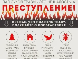 Пал травы