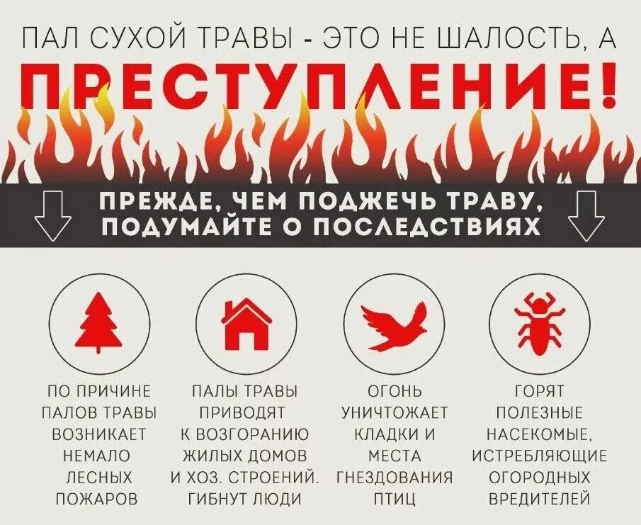 Пал травы