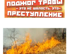 Поджог травы - не шалость, а ПРЕСТУПЛЕНИЕ!