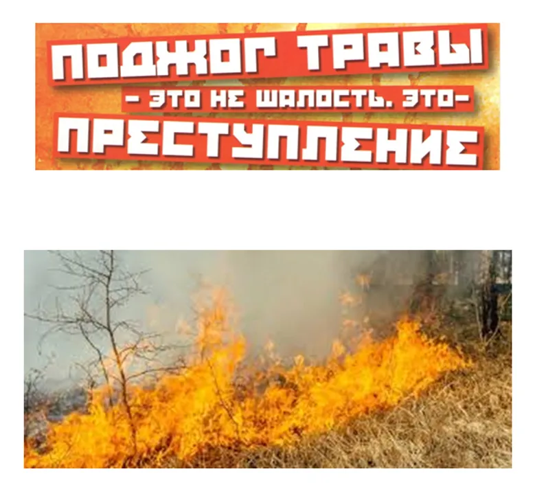 Поджог травы - не шалость, а ПРЕСТУПЛЕНИЕ!
