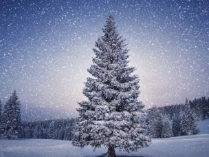 Снег и гололёдно-изморозевые отложения.