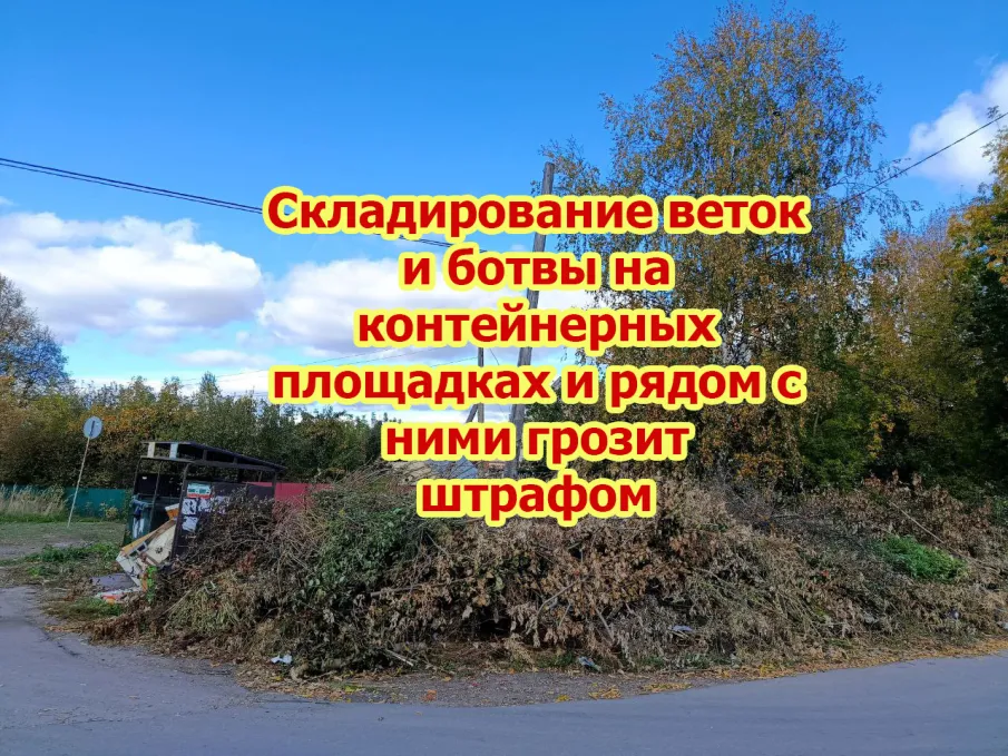 Складирование веток и ботвы на контейнерных площадках грозит штрафом