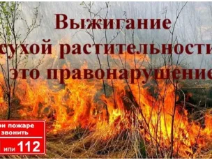 Пал сухой травы