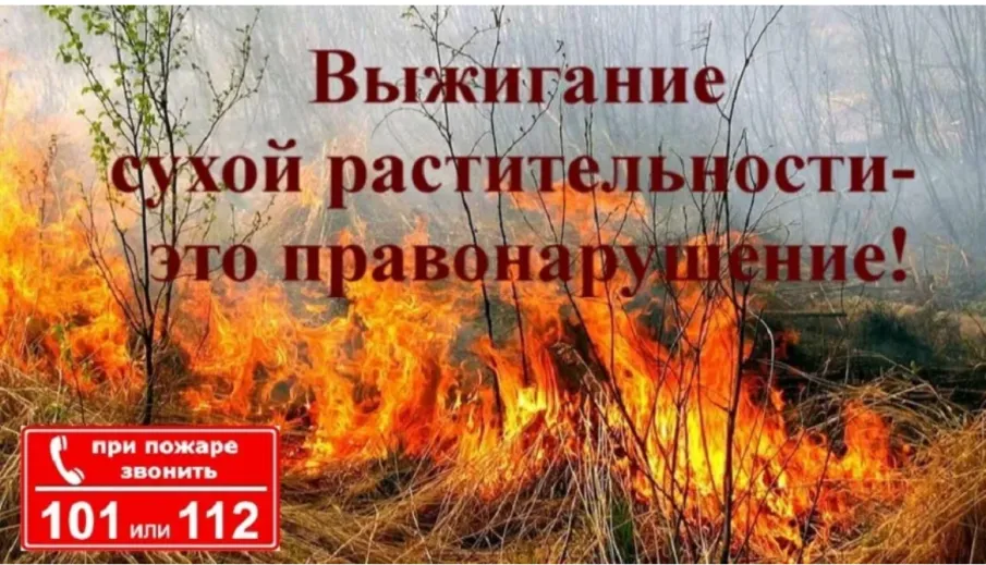 Пал сухой травы
