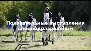 Ярмарка вакансий ГУФССП России по Нижегородской области 18 мая 2024 г.